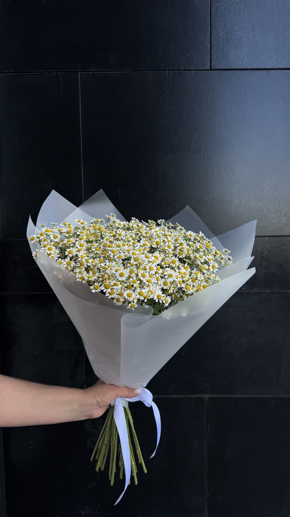 Монобукет из ромашки танацетум, 25 шт